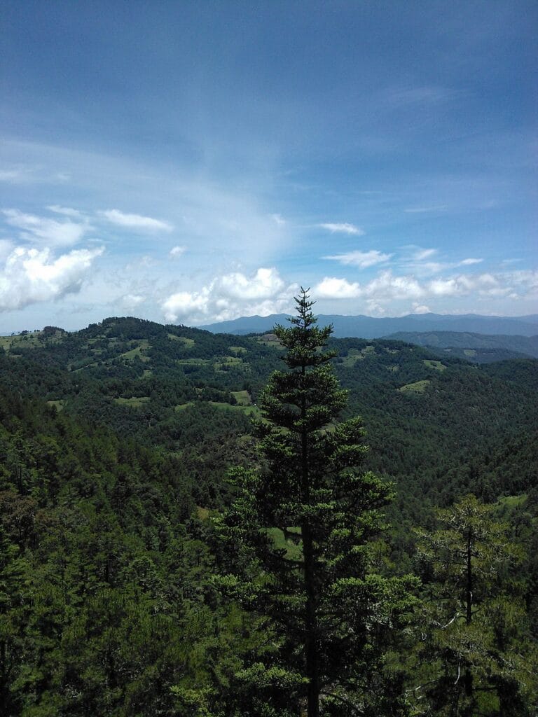 Mountains in Oaxaca