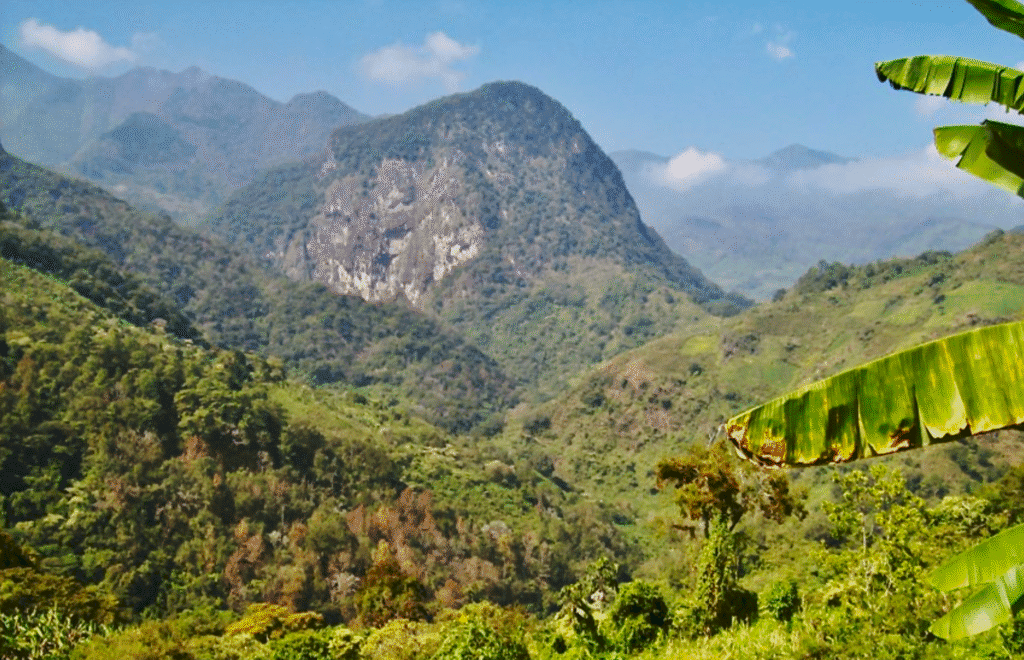 Jungle and mountains in Oaxaca