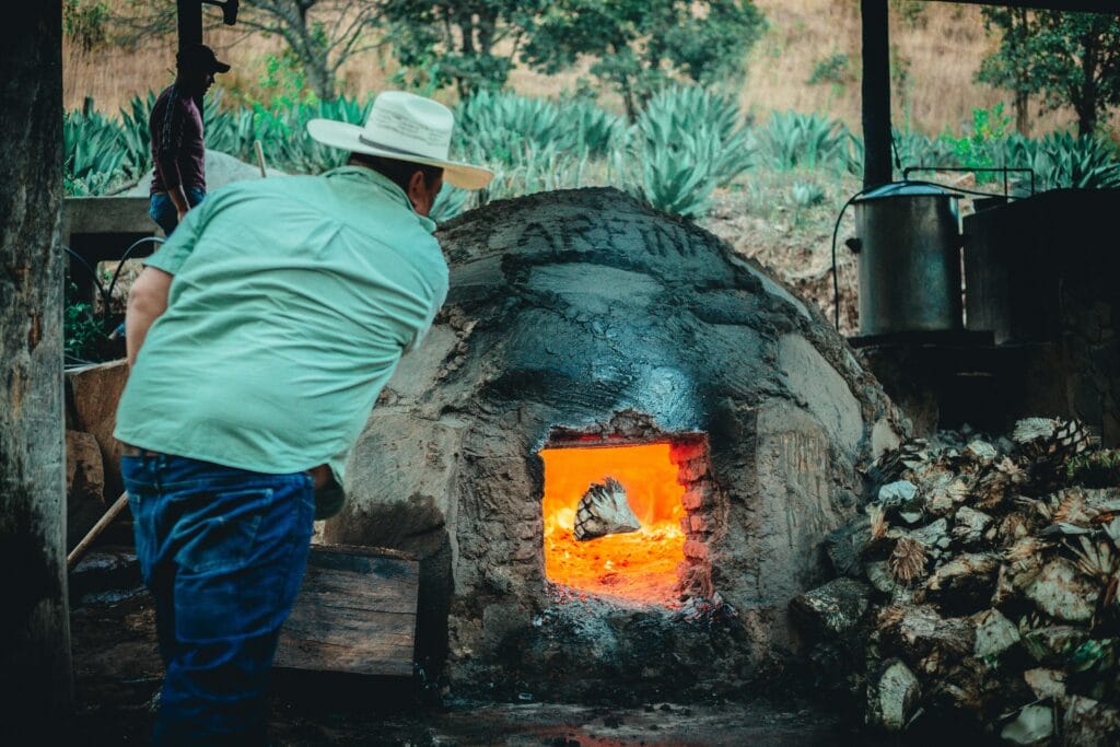 earthen pit roasting for mezcal production