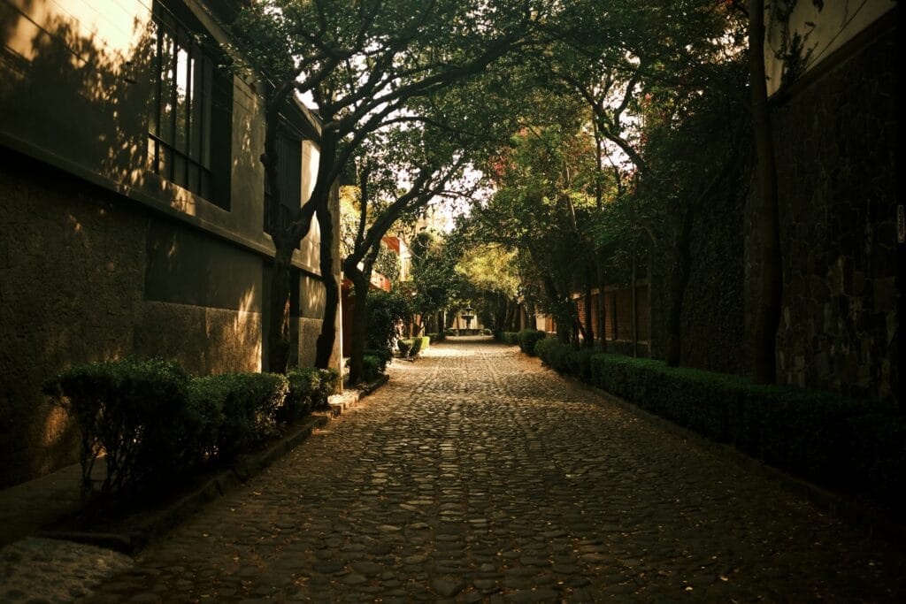 Streets lined with trees in Coyoacan Mexico City