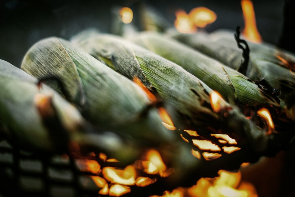 Elotes