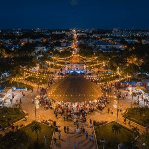 Image of Parque Las Palapas food at night